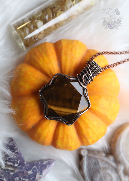 "Persephone" Tiger Eye Copper Wire Wrapped Necklace featuring a faceted hexagon crystal shape. This necklace embodies the transformative qualities of Tiger Eye, empowering wearers to embrace change and emerge stronger than before.