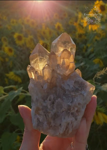 Citrine Meaning - True Citrine is known as the crystal for abundance and manifestation. The yellow color of Citrine activates your solar plexus chakra so you can take action on your goals. Citrine does not hold negative energy, but transmutes, dissipates, and grounds it, making it a protection stone. Natural Citrine is a Solar Plexus Chakra crystal for Aries & Leo zodiacs. It has a Mohs hardness of 7. Ethically sourced from independent miners in the Dominic Republic of Congo Africa. 