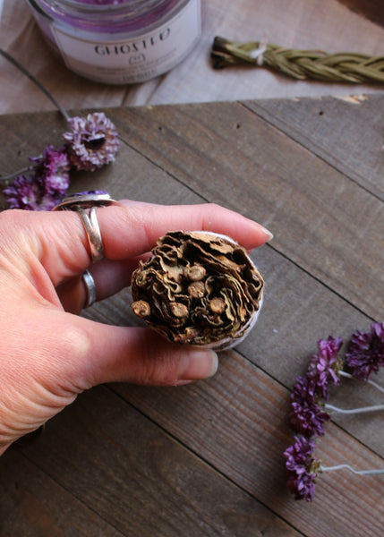 Black Sage is also known as Mugwort. Black sage is used to encourage dreams & visions. It is an herb of introspection and inner healing. When lit before bedtime, it aids in restful sleep and pleasant dreams. Mugwort aids in protection during astral travel and shamanic journeying. Known to intensify efforts at psychic visualization and lucid dreaming. Use Mugwort before tarot reading to help intensify psychic channeling. #herbs dried herbs for witchcraft, hedge witch, improved sleep, clairvoyant