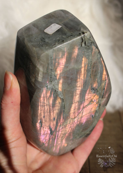 Full flash Pink and Orange flash labradorite freeform, the most beautiful protection crystal. Labradorite is known as a psychic protection crystal and also is the perfect crystal for the zodiacs Leo, Scorpio, and Sagittarius.